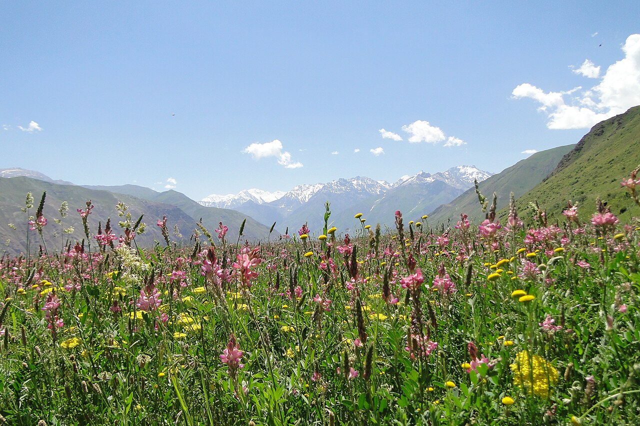 Kyrgyzstan and Tajikistan Agree to Increase Mutual Trade to $500 Million