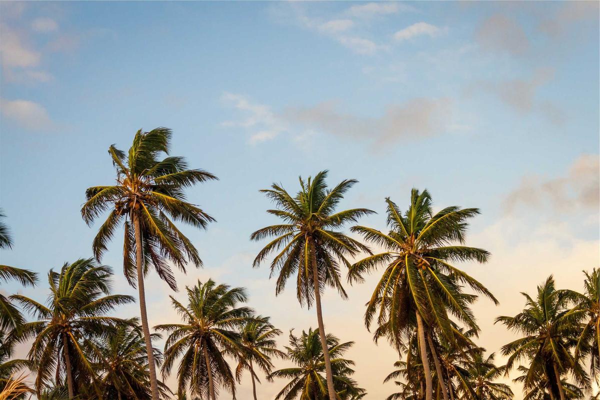 Tuvalu Takes Bold Step Against Climate Change with Launch of UNDP-Gov4Res Small Grants Initiative Phase 2