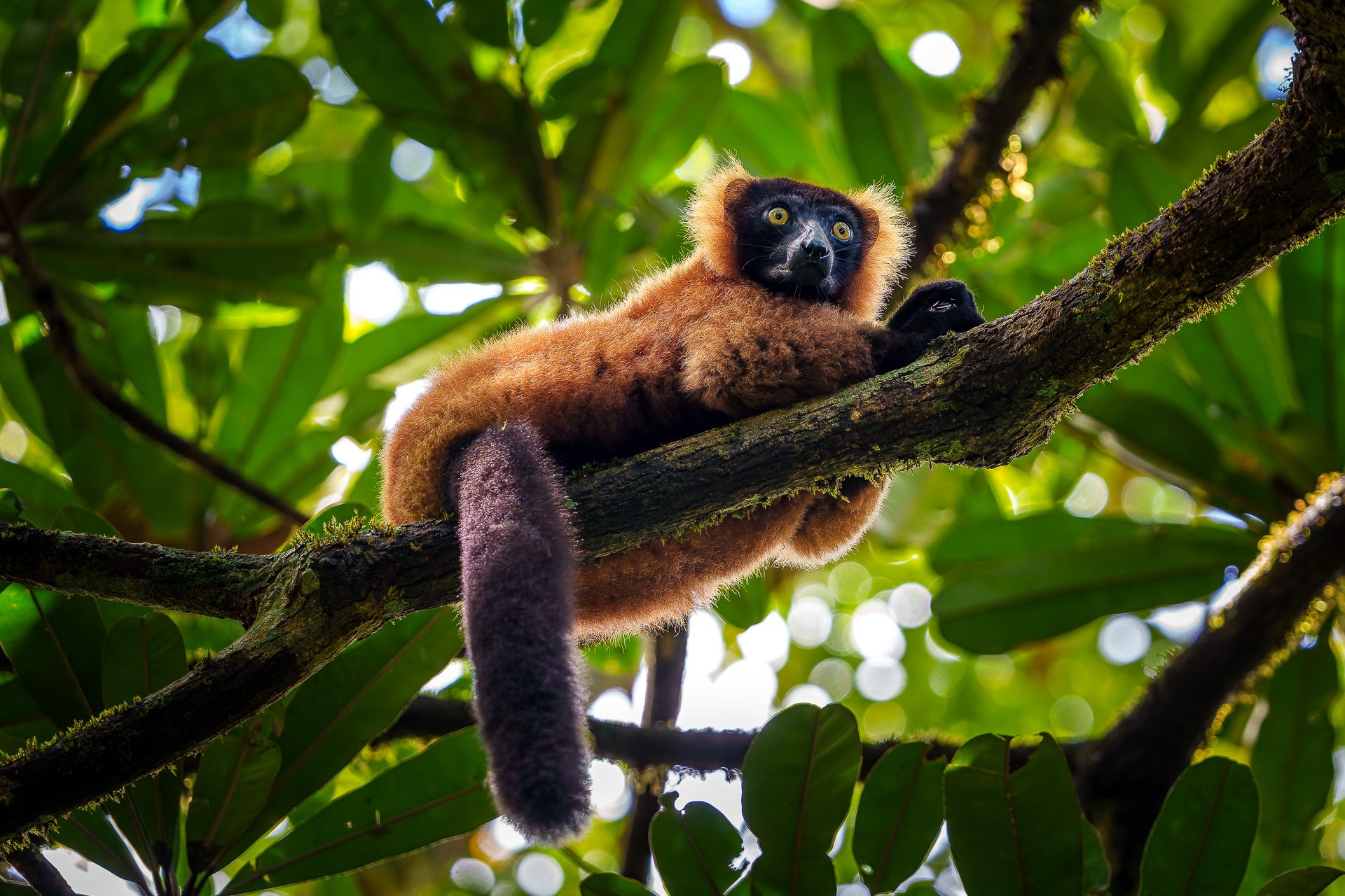 Madagascar on Brink: Protests Rage Amid Power Cuts, Water Shortages, and Poverty, Claiming 22 Lives