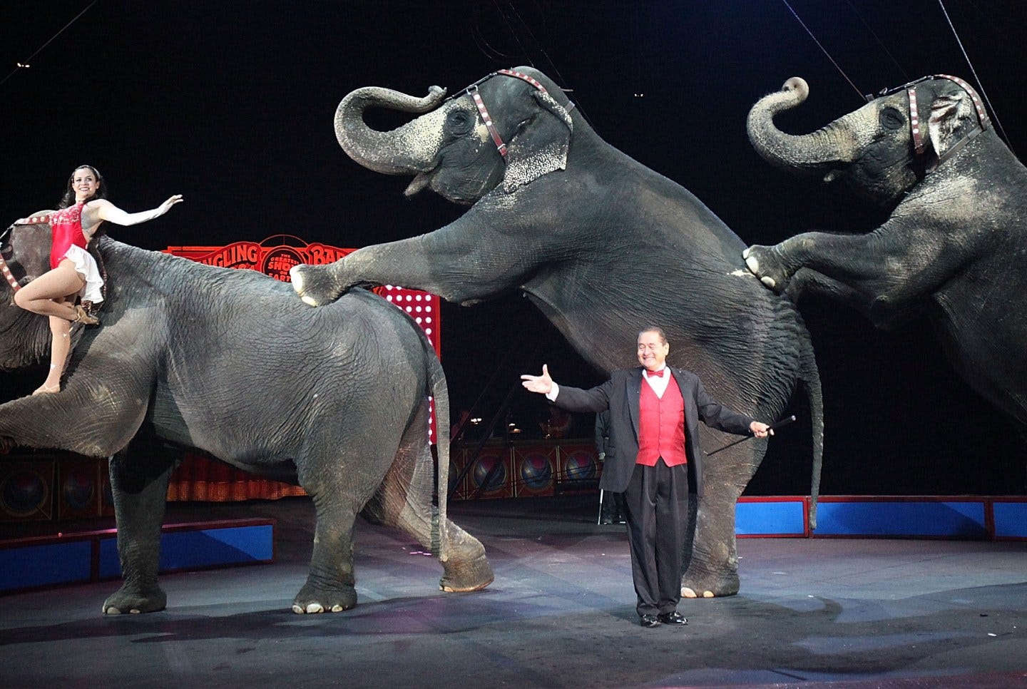 52 Dead in Tragedy After Authority Verification