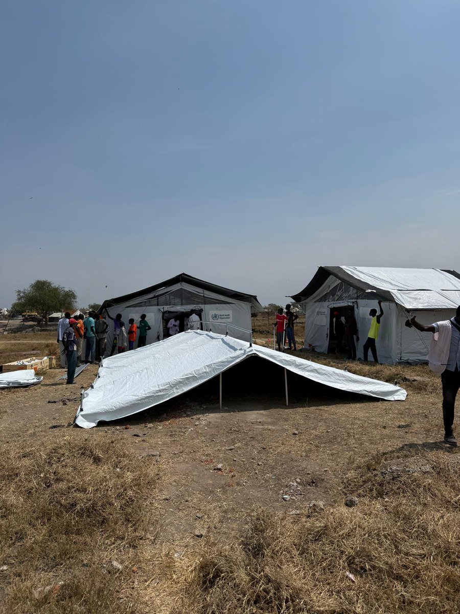 Cholera Outbreak Kills Hundreds Among Displaced and Refugees in Eastern Chad