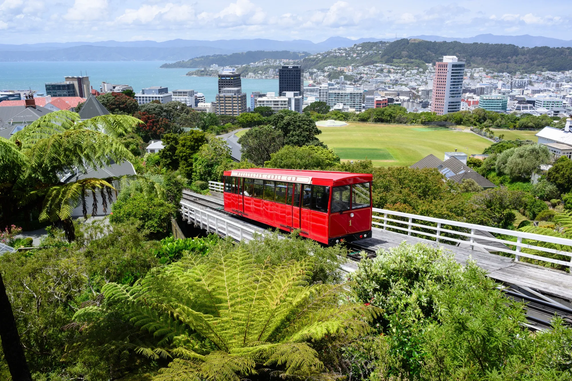 MetService Issues Severe Weather Warnings for Heavy Rain and Thunderstorms Across North Island