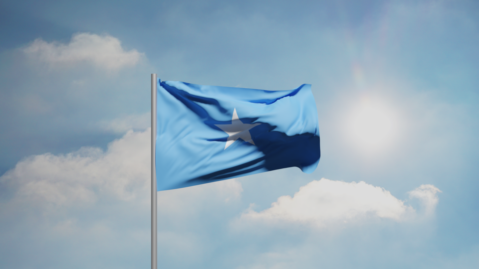 Somali President Seeks Egypt's Help to Unlock Saudi Support Amid Regional Tensions