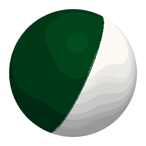 Pakistan flag